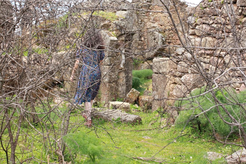 منزل الضيف Perales del Puerto  في La Grulla Dorada المظهر الخارجي الصورة